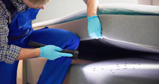 Best Pest Control Near Me  in Warroad, MN