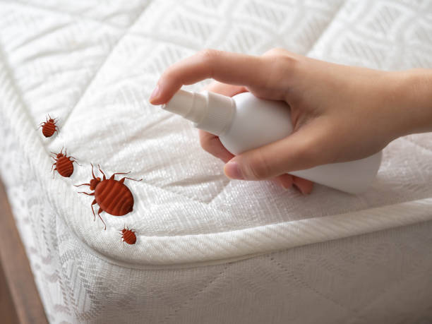 Best Pest Prevention Services  in Warroad, MN